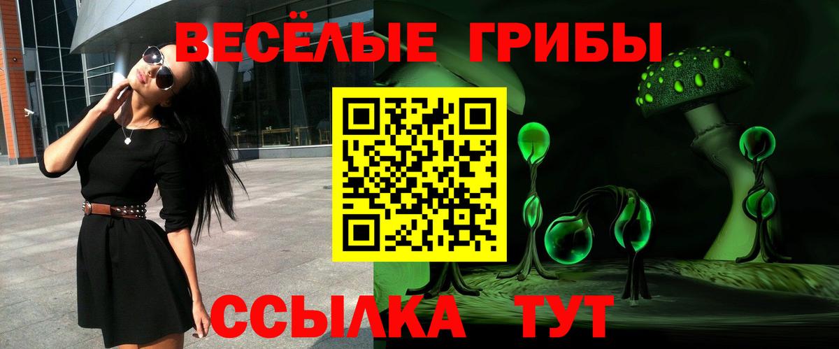 Солнечногорск  Псилоцибиновые грибы MAGIC MUSHROOMS  Вход с VPN 