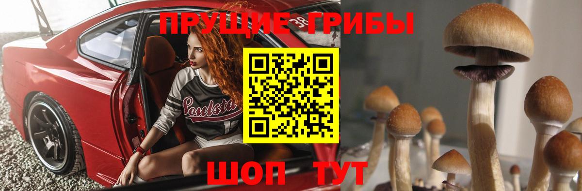 Галлюциногенные грибы GOLDEN TEACHER Солнечногорск